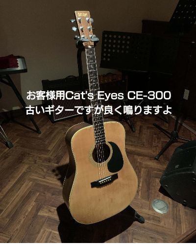 キャッツアイCE300
